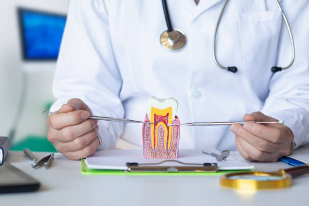Trusted OH Emergency Dental Service Experts